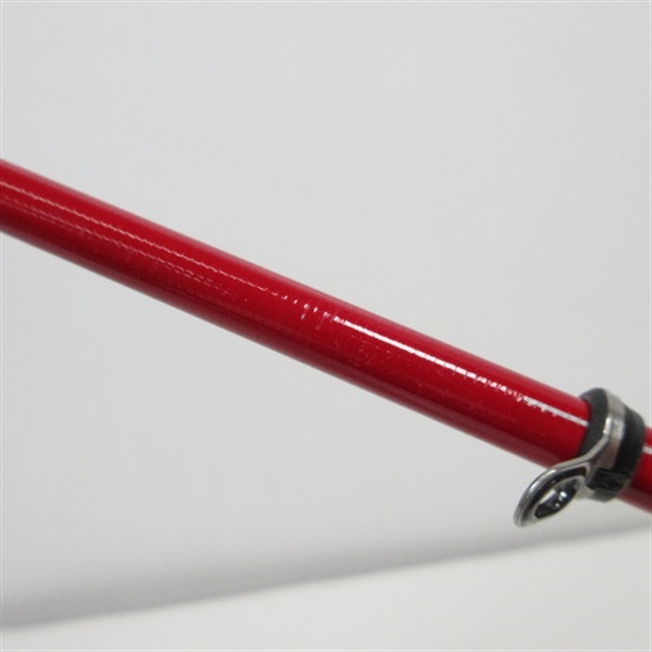 ０９レマーレＶ
